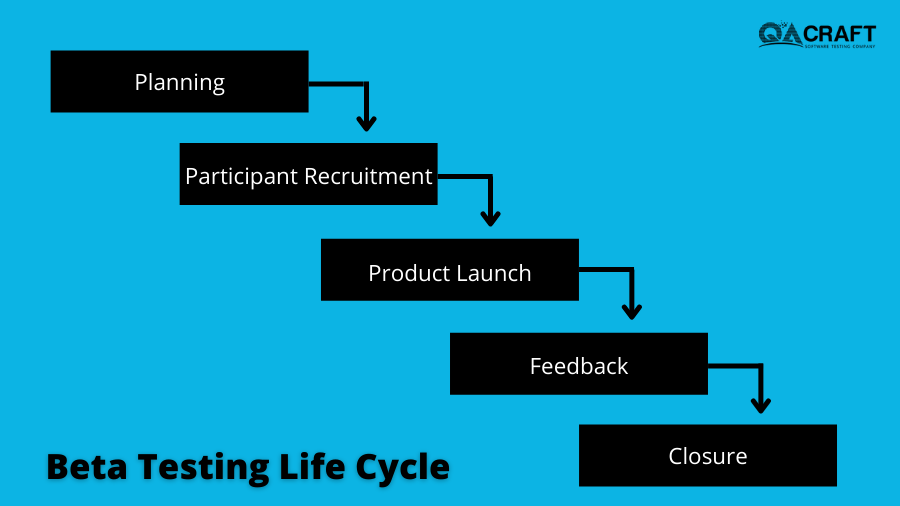 beta testing life cycle