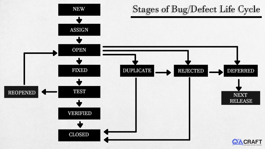 stages of bug or defet life cycle